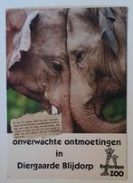 Diergaarde blijdorp 1996 blanco kaart olifanten ontmoeting, Ongelopen, Ophalen of Verzenden, 1980 tot heden
