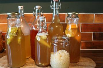 Waterkefir korrels beschikbaar voor biedingen