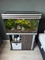 Aquarium complete overnamen hobby, Dieren en Toebehoren, Vissen | Aquaria en Toebehoren, Ophalen, Zo goed als nieuw, Gevuld zoetwateraquarium