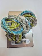 Lammy Yarn - Champion garen, Ophalen of Verzenden, Nieuw, Breien of Haken, Wol of Garen