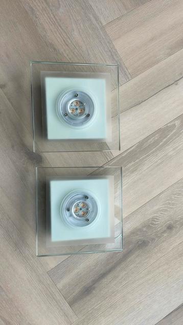 Philips halogeen lampen glas met melkglas beschikbaar voor biedingen