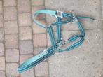 2 blauw/groene halsters en 1 halstertouw, Dieren en Toebehoren, Ophalen of Verzenden, Gebruikt, Overige soorten
