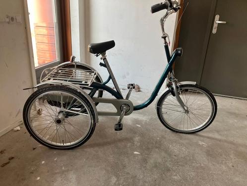 Van Raam Maxi driewieler, Fietsen en Brommers, Fietsen | Driewielers, Gebruikt, Verstelbare zitting, Ophalen