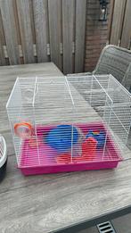 Hamster/muizenkooi en toebehoren, Dieren en Toebehoren, Kooi, Minder dan 75 cm, Zo goed als nieuw, Hamster