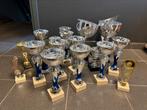 Partij bekers / trofeeën / prijzen / trofee, Ophalen of Verzenden, Zo goed als nieuw, /, /
