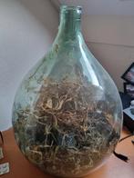 Groot ecosysteem in glazen fles, Huis en Inrichting, Woonaccessoires | Vazen, Ophalen, Gebruikt, Overige kleuren, Glas