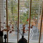 Jaloezieën hout 5 cm leem, Huis en Inrichting, Stoffering | Gordijnen en Lamellen, Ophalen, Zo goed als nieuw, Grijs, 150 tot 200 cm