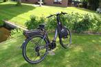 3 X Pegasus Solero E8 Plus Framemaat 50 cm 400 Wh accu, Nieuw, Overige merken
