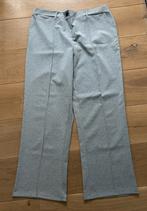 Wibra lichtgrijze pantalon / broek maat 50/52, Kleding | Dames, Grote Maten, Nieuw, Ophalen of Verzenden, Grijs, Wibra
