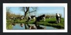 Ansichtkaart Koeien Melkkoeien Knotwilgen., Ophalen of Verzenden, 1980 tot heden, Ongelopen, Overige soorten