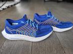 Nike pegasus 39 maat 44,5, Sport en Fitness, Loopsport en Atletiek, Hardlopen, Ophalen of Verzenden, Hardloopschoenen, Nike