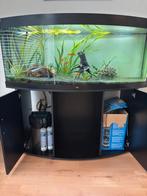 Tropisch aquarium, Ophalen, Leeg aquarium