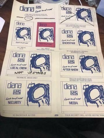 Diana Ross live Here and now instructie passen security rare, Verzamelen, Muziek, Artiesten en Beroemdheden, Gebruikt, Poster, Artwork of Schilderij