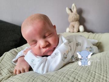 Reborn Levi beschikbaar voor biedingen