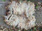 Echte unieke heidschnucken schapenvachten langharige schaap, Ophalen of Verzenden, Nieuw