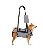 Honden Tuig  Hulpharnas, Dieren en Toebehoren, Honden-accessoires, Ophalen of Verzenden, Nieuw