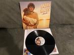 Andre Hazes jij en ik LP [804], Cd's en Dvd's, Vinyl | Nederlandstalig, Ophalen of Verzenden, Zo goed als nieuw, 12 inch, Levenslied of Smartlap