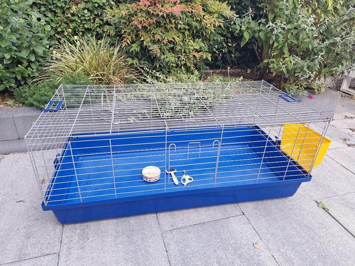 Klein knaagdier kooi (Cavia, Konijn), Dieren en Toebehoren, Knaagdieren en Konijnen | Hokken en Kooien, Gebruikt, Kooi, Minder dan 60 cm