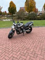 Honda CB900F Hornet, Motoren, LED Verlichting, 4 cilinders, Motorrijbewijs A, 900 cc