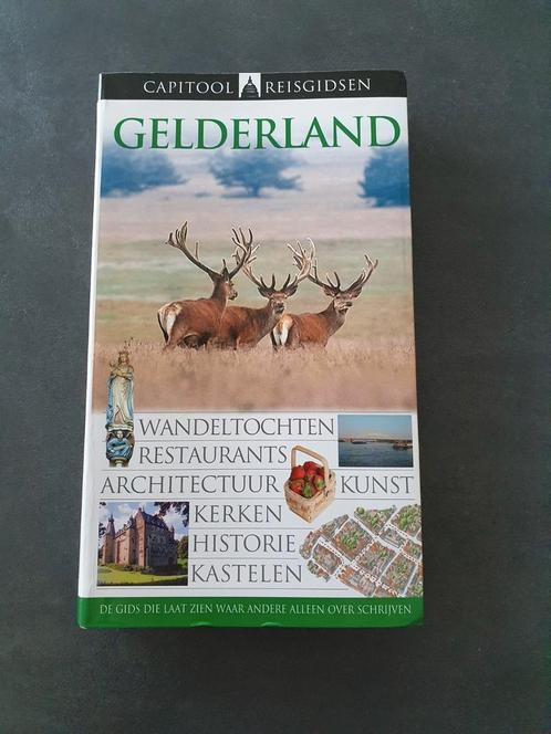 Wouter Chriatiaens - Gelderland, Boeken, Reisgidsen, Zo goed als nieuw, Europa, Capitool, Ophalen of Verzenden