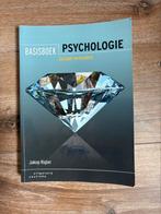 Jakop Rigter - Basisboek psychologie, Sociale psychologie, Jakop Rigter, Ophalen of Verzenden, Zo goed als nieuw