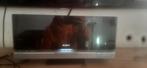 Sony home cinema set, Audio, Tv en Foto, Home Cinema-sets, Ophalen of Verzenden, Zo goed als nieuw, Sony, Dvd-speler