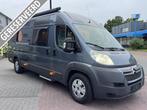 Globecar Campscout 640- Lengte bedden- 2013- NIEUWSTAAT, Overige merken, Buscamper of Camperbus, Bedrijf