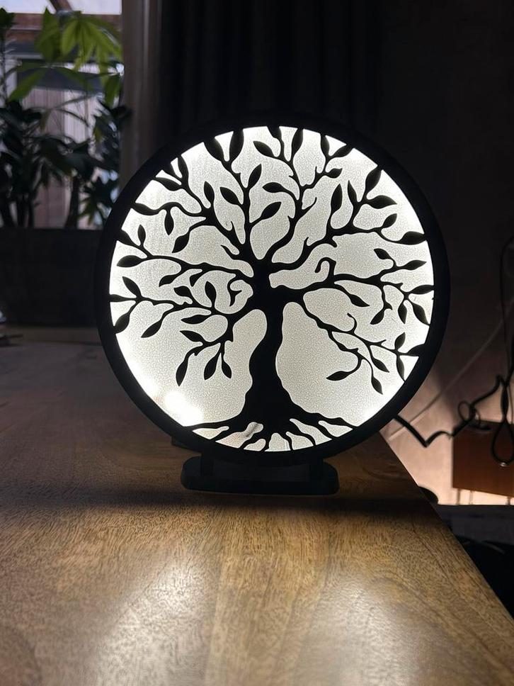 3D print, Antiek en Kunst, Kunst | Overige Kunst, Ophalen of Verzenden