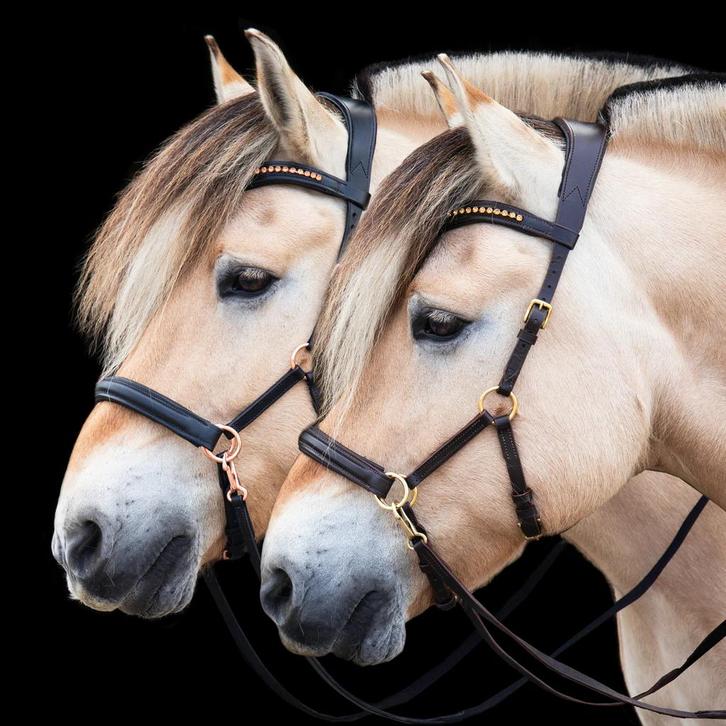 Sidepull bitloos hoofdstel full nieuw te huur, Dieren en Toebehoren, Paarden en Pony's | Hoofdstellen en Tuigage, Nieuw, Overige soorten