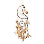 Dromenvanger, Ophalen