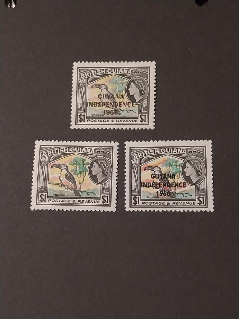 Brits Guyana Toekan $1+opdruk 1966/1967 postfris mi 30 eu, Postzegels en Munten, Ophalen of Verzenden, Dier of Natuur