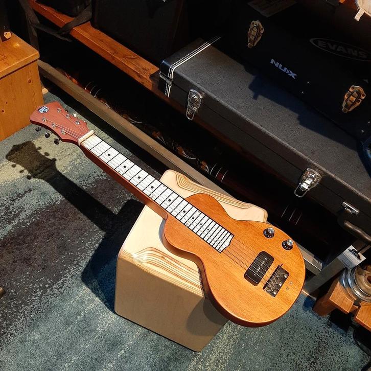 Recording King Lapsteel Gitaar + Gig Bag, Slide, Fingerpicks, Muziek en Instrumenten, Snaarinstrumenten | Gitaren | Elektrisch