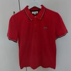 Rode polo Lacoste xs, Ophalen of Verzenden, Zo goed als nieuw, Rood, Lacoste