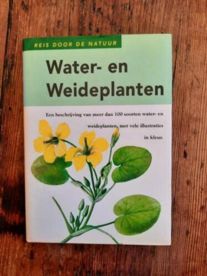 Water- en weideplanten . V. Vetvicka, Boeken, Natuur, Zo goed als nieuw, Bloemen, Planten en Bomen, Ophalen of Verzenden