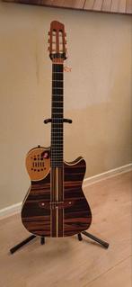 Godin Multiacc  + Roland GR-20 Gitaarsynthesizer, Ophalen, Gebruikt, Overige typen, Met (piezo-)element