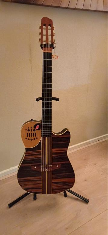 Godin Multiacc  + Roland GR-20 Gitaarsynthesizer beschikbaar voor biedingen