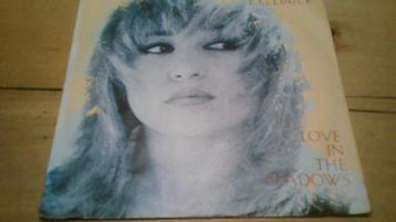 E.G. Daily beschikbaar voor biedingen