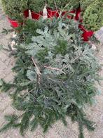 Losse nordmann kersttakken - gratis, Diversen, Ophalen
