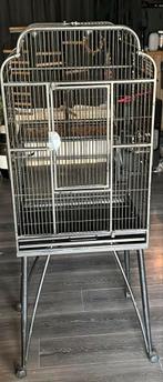 Papegaaienkooi, Ophalen, Gebruikt, Metaal, Vogelkooi