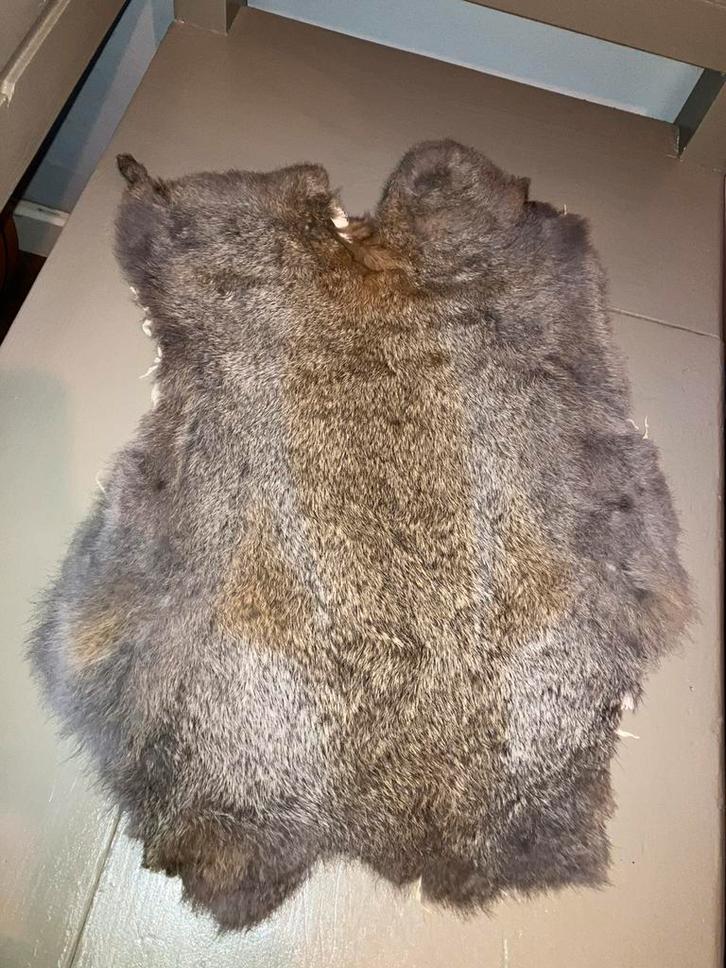 Konijnenvacht, Huis en Inrichting, Woonaccessoires | Plaids en Woondekens, Nieuw, Ophalen of Verzenden