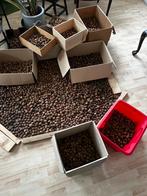 Verse walnoten, oogst 2025. 3,5€/kg,, Diversen, Levensmiddelen, Ophalen