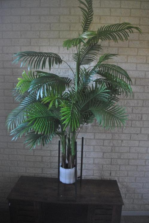 Kunstplant, 180 cm hoog, Huis en Inrichting, Woonaccessoires | Kunstplanten en Kunstbloemen, Gebruikt, Binnen, Ophalen