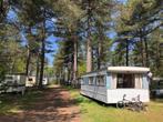 Bakkum - fijne vintage caravan op rustige plek te huur, Caravans en Kamperen, Verhuur