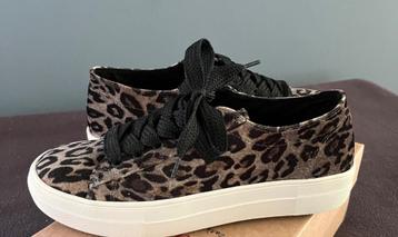 Sneakers panterprint maat 39 beschikbaar voor biedingen
