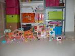 Huizen en dierenhospitaal met heel veel poppetjes ZGAN, Ophalen of Verzenden, Zo goed als nieuw, Poppenhuis