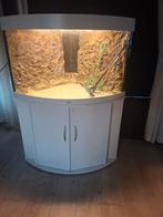 Juwel hoek aquarium  190, Dieren en Toebehoren, Vissen | Aquaria en Toebehoren, Ophalen, Gebruikt, Leeg aquarium