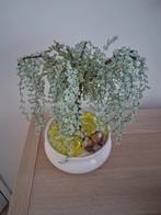 Beaded Willow Tree met Beer Ornament, Ophalen