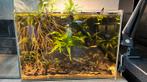 Superfish scaper 45 aquarium, Ophalen, Zo goed als nieuw, Leeg aquarium