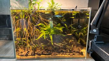 Superfish scaper 45 aquarium beschikbaar voor biedingen