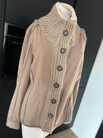 Anna blue anna van toor prachtig vest bruin maat 42 L zgan, Kleding | Dames, Maat 42/44 (L), Ophalen of Verzenden, Zo goed als nieuw